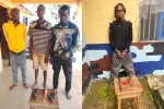 Delta police arrest 8 suspected robbers, cultists, gunrunner, recover 4 firearms 41 Delta police arrest 8 suspected robbers, cultists, gunrunner, recover 4 firearms