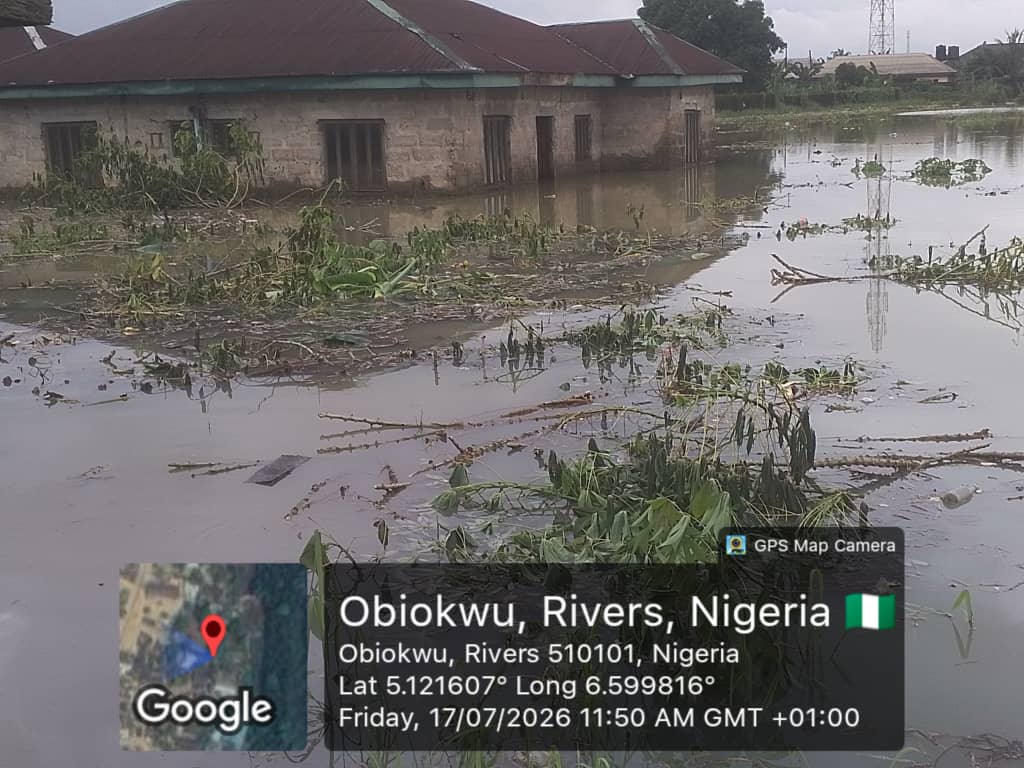 As flood risks rise, NEMA DG urges residents in vulnerable communities to relocate to safer grounds 2 Flood scene