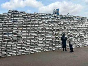 Uba Sani flags off free distribution of 500 trucks of fertilizer, tractors to 150,000 Kaduna farmers 2 Kaduna Governor distributes fertilizer to farmers