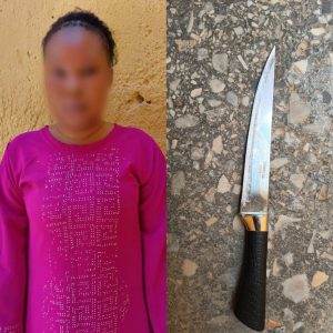 Kano police arrest woman for allegedly cutting off boyfriend’s manhood during fight