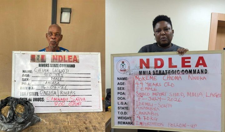 NDLEA intercepts Kano-bound tramadol shipments in Lagos, arrests 80-year-old grandpa 9 NDLEA intercepts Kano-bound tramadol shipments in Lagos, arrests 80-year-old grandpa