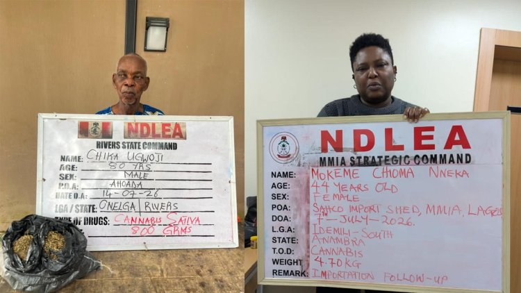 NDLEA intercepts Kano-bound tramadol shipments in Lagos, arrests 80-year-old grandpa 3 NDLEA intercepts Kano-bound tramadol shipments in Lagos, arrests 80-year-old grandpa