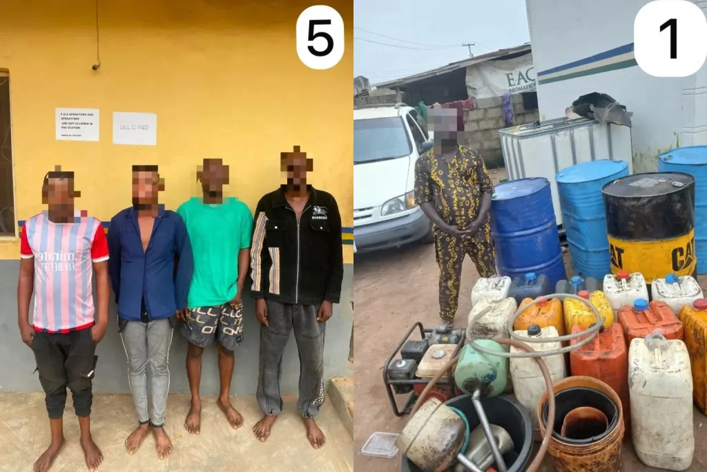 Ogun police arrest 16 suspects, recover stolen vehicles, diesel, other exhibits 1 Ogun police arrest 16 suspects, recover stolen vehicles, diesel, other exhibits