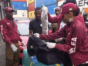 Okada rider excretes 100 wraps of methamphetamine as NDLEA intercepts N10.3bn worth of loud at Lagos port 3 Okada rider excretes 100 wraps of methamphetamine as NDLEA intercepts N10.3bn worth of loud at Lagos port