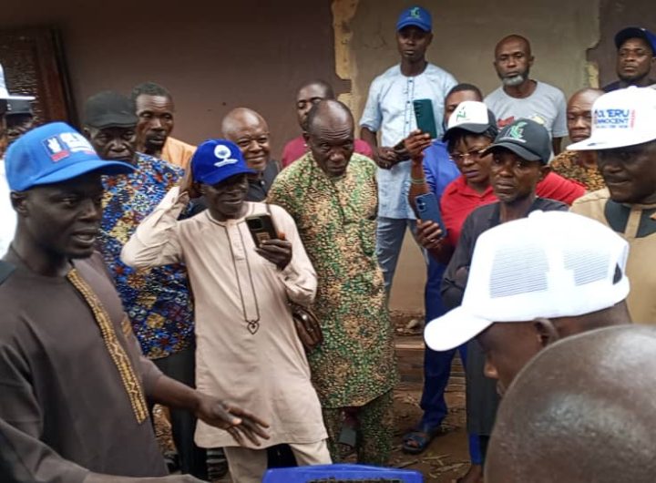 Ol'eru Adoga inaugurates onion growers alliance, establishes 6 trial fields in Igedeland 7 Ol'eru Adoga inaugurates onion growers alliance, establishes 6 trial fields in Igedeland