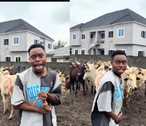 Peller unveils 12 cows ahead of wedding to Jarvis, warns gate crashers as DSS, police secure venue 4 Peller unveils 12 cows ahead of wedding to Jarvis, warns gate crashers as DSS, police secure venue