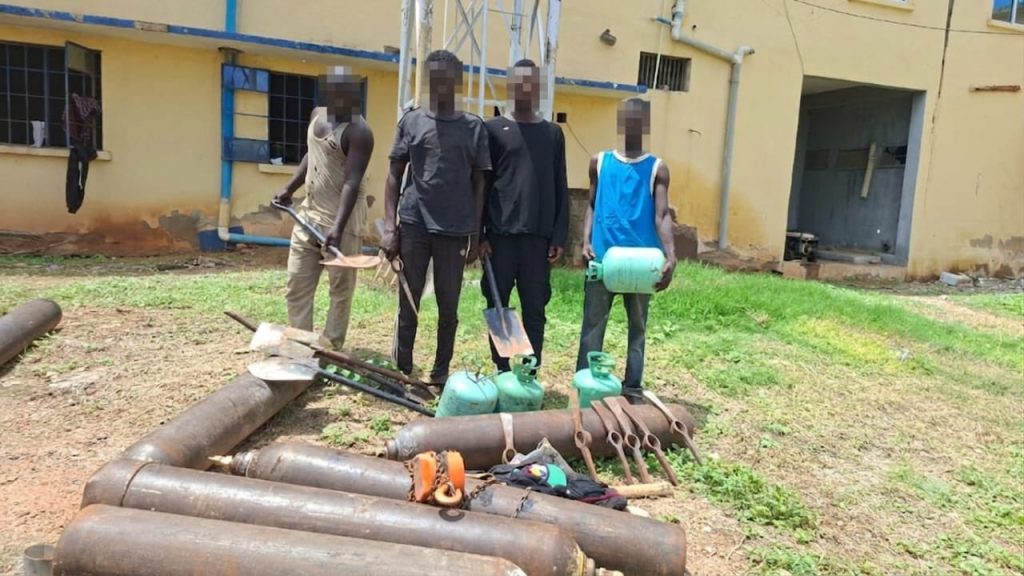 Police arrest 7 suspects, recover 285 vandalized pipelines in Adamawa 1 Police arrest 7 suspects, recover 285 vandalized pipelines in Adamawa Nigeria Police Force, through operatives of the IGP Special Task Force on Petroleum and Illegal Bunkering and the IGP X-Squad, has successfully dismantled a pipeline vandalism network operating in Adamawa State, leading to the arrest of seven suspects and the recovery of 285 pieces of vandalized Nigerian National Petroleum Company (NNPC) pipelines. The Force spokesman, CSP Anietie Iniedu, confirmed this in a statement issued on Tuesday in Abuja. CSP Iniedu said: "Acting on credible intelligence received on 9th July 2026, operatives intercepted a J5 bus fully loaded with suspected vandalized NNPC pipelines along the Yola–Numan Road in Adamawa State. "The vehicle was driven by one Paul Joshua and accompanied by one Paul Ishiyaku. He said the operation subsequently led to the arrest of seven suspects identified as Haruna Usman (28), Haruna Muhammed Sule (30), Dabus Peter (38), Ahmad Adamu (19), Sadik Ibrahim (31), Paul Joshua (49), and Paul Ishiyaku (48). Further searches conducted during the operation resulted in the recovery of two hundred and eighty-five (285) pieces of vandalized pipelines, six (6) gas cylinders, diggers, shovels, one J5 bus with registration number KRD 767 XC, blue in colour, and other equipment suspected to have been used in the commission of the crime. All recovered exhibits have been secured as evidence. He said the suspects are currently in police custody, while investigations are ongoing to determine the full scope of the criminal enterprise and identify other individuals connected to the vandalism network. He said: "the Nigeria Police Force under the administration of the Inspector-General of Police, IGP Olatunji Rilwan Disu, psc (+), NPM, reiterates its commitment to the protection of critical national infrastructure and the fight against economic sabotage. Members of the public are encouraged to remain vigilant and continue providing timely and credible information to support ongoing efforts aimed at combating crime and safeguarding national assets across the country.