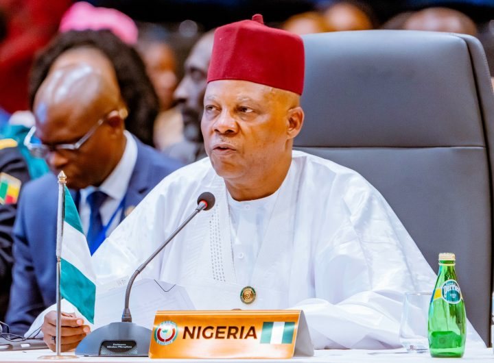 Shettima: We must praise President Tinubu for establishing regional development commissions 8 Tinubu demands united front against Afro-phobic attacks in South Africa