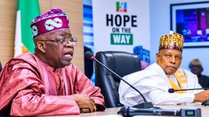 2027: Tinubu-Shettima and the politics of loyalty, capacity, continuity By STANLEY NKWOCHA 2 President Bola Tinubu and Vice President Kashim Shettima