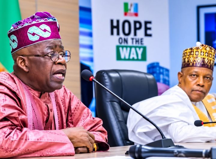 2027: Tinubu-Shettima and the politics of loyalty, capacity, continuity By STANLEY NKWOCHA 2 President Bola Tinubu and Vice President Kashim Shettima