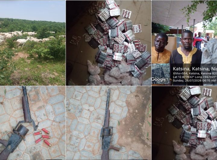 Troops rescue kidnap victim, arrest suspects, recover 126 rustled livestock in Katsina