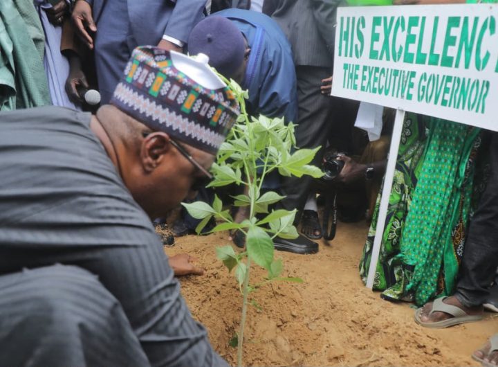 Zulum rolls out free gas cylinders for 23,700 teachers, environmental vanguards, as Minister launches 4 million seedlings tree planting campaign 1 Zulum rolls out free gas cylinders for 23,700 teachers,