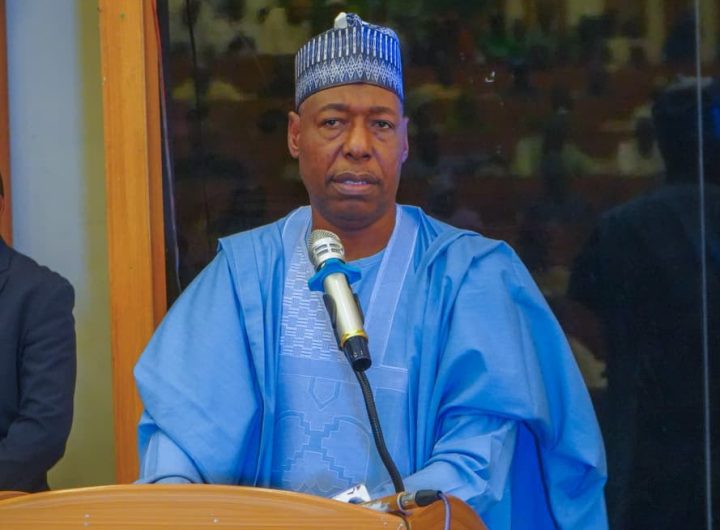 Zulum calls for enforcement of anti-deforestation laws, awards scholarships to 540 council workers 2 Zulum calls for enforcement of anti-deforestation laws, awards scholarships to 540 council workers