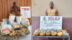 Italy-based businessman arrested at Enugu airport excretes 98 wraps of cocaine