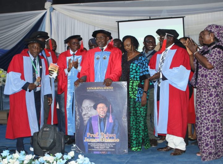 Nigeria’s mental health treatment gap exceeds 90% — UNIJOS professor