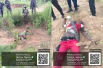 Troops repel terrorists attack on construction workers, kill 2, seize illicit drugs in Kebbi, Katsina
