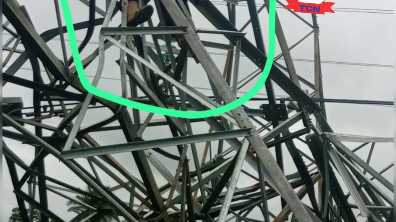 Suspected vandal dies after collapsed TCN transmission tower in Delta 2 Suspected vandal dies after collapsed TCN transmission tower in Delta