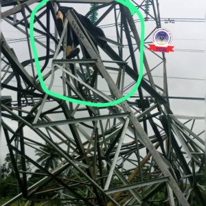 Suspected vandal dies after collapsed TCN transmission tower in Delta 2 Suspected vandal dies after collapsed TCN transmission tower in Delta